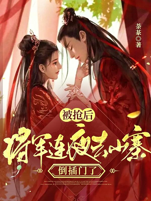 被抢后,将军连夜去山寨倒插门了