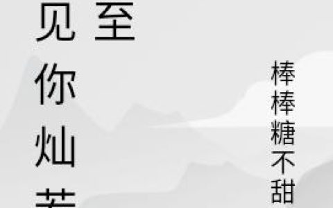 《遇见你灿若心至》安柠 马晨小说免费阅读