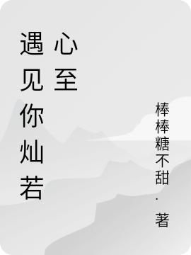 遇见你灿若心至