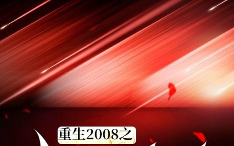 吴齐龙 吴齐小说《重生2008之比特币首富》全文免费阅读