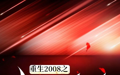 《重生2008之比特币首富》小说最新章节，吴齐龙,乔灵儿全文免费在线阅读