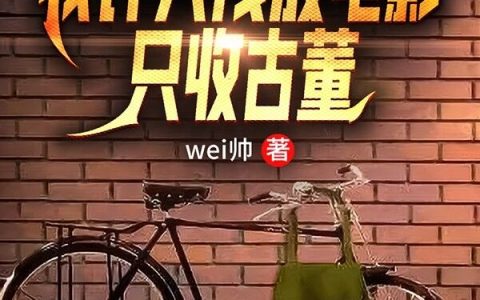 四合院：我许大茂放电影只收古董许大茂,娄晓娥最新章节在线免费阅读