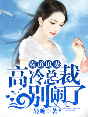 霸道追妻,高冷总裁别闹了
