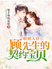 暖婚入骨:顾先生的契约宝贝
