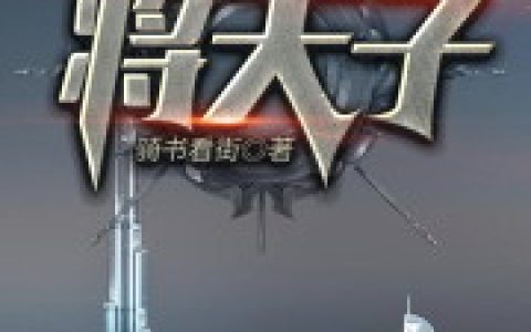 《将天子》张晨刘氏小说免费阅读