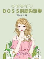 隐婚独宠:BOSS的心尖娇妻