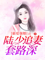 霸爱强婚:陆少追妻套路深