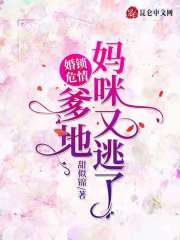 婚锁危情:爹地,妈咪又逃了!