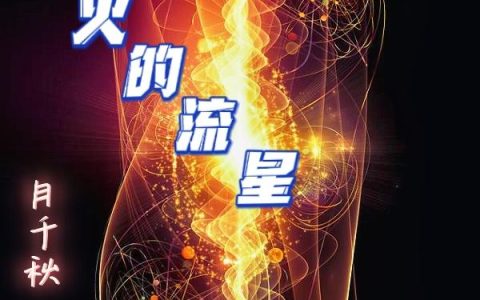王姨 凌然小说《炙火的流星》全文免费阅读