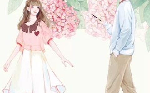 白如歌宫辰希小说《许你一世烟火》全文免费阅读