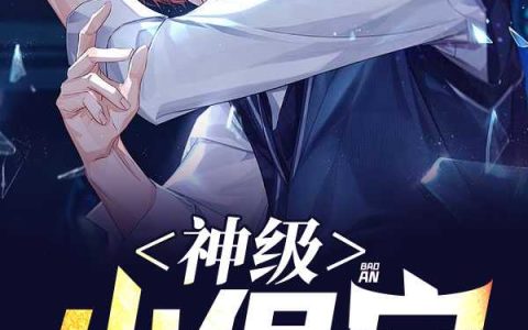 汪海洋 如灵小说《神级小保安》全文免费阅读