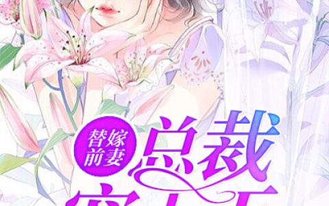 薄亦琛 沈离《替嫁前妻：总裁宠上天》小说全文免费阅读