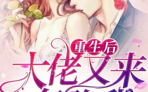 小说靳斯 崔子铭《重生后大佬又来套路我》在线全文免费阅读