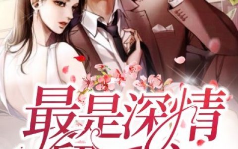 小说《最是深情留不住》陆昭函 宋顾城完整版免费阅读