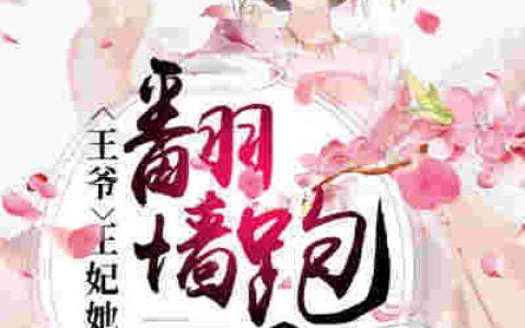 小说萧正则 宁元婧《王爷，王妃她翻墙跑了》在线全文免费阅读