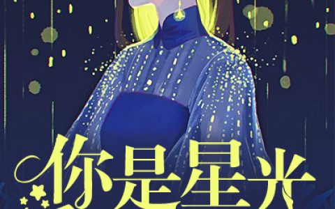小说陆微温 陆先生《你是星光遥不可及》在线全文免费阅读