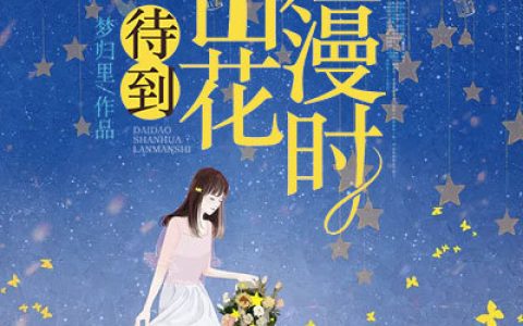 萧临琛 沈言悦小说全文免费阅读，《待到山花烂漫时》最新章节
