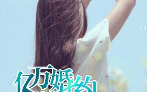 亿万婚约：老婆娶一送一思恩 墨琰最新章节在线免费阅读
