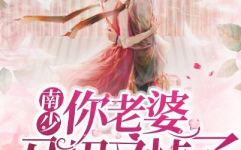 小说莫珺瑶 张思容《南少，你老婆马甲又掉了》在线全文免费阅读