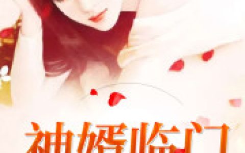 小说《神婿临门》叶峰 秦若霜完整版免费阅读