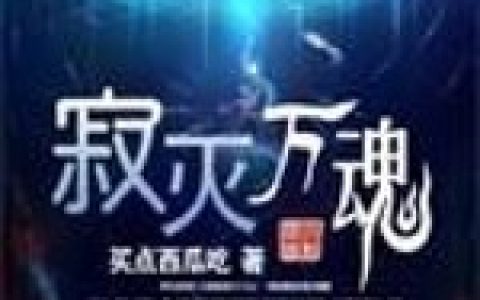 《寂灭万魂》小说最新章节，项云 项天行全文免费在线阅读