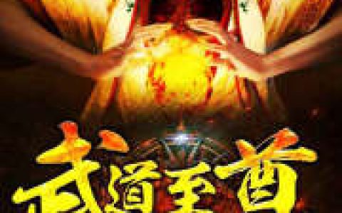 叶梵天 天儿小说全文免费阅读，《武道至尊》最新章节
