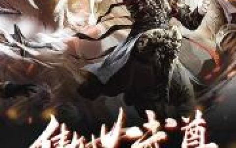 宁天 宁书傲世武尊小说免费阅读