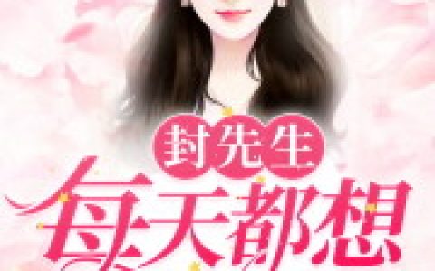 《封先生每天都想要结婚》晏雨琴 封弼延小说免费阅读