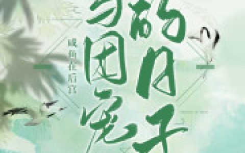 夜霆 新帝小说全文免费阅读，《咸鱼在后宫当团宠的日子》最新章节