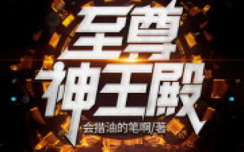 叶辰 沈婷儿《至尊神王殿》小说全文免费阅读