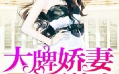 小说孟浅 马洪波《盛世暖婚之夫人超大牌》在线全文免费阅读