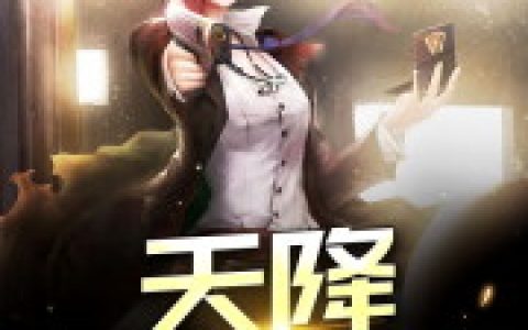 杨辰 叶昕天降特工老婆小说免费阅读