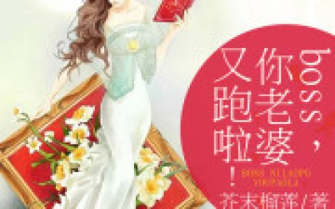 小说凌雪 江文升《boss，你老婆又跑啦！》在线全文免费阅读