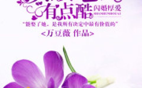 遇上你是我的小确幸最新章节，叶慕 叶慕一全文免费阅读