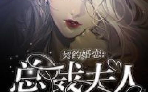 《总裁夫人会鉴宝》祝宏漳 祝瑶小说免费阅读