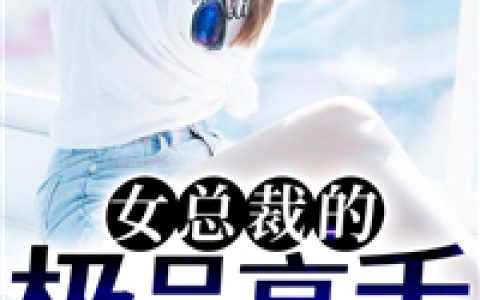 叶枫 王初雪《女总裁的极品高手》小说全文免费阅读