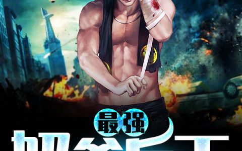 秦风 林小雅小说全文免费阅读，《最强奶爸兵王》最新章节