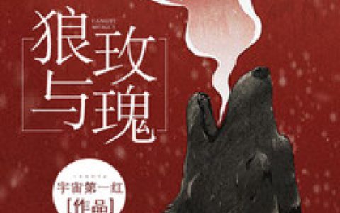 小说姜茴 陈涞《狼与玫瑰》在线全文免费阅读