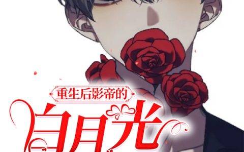 沈向霆,陆放小说全文免费阅读，《重生后影帝的白月光黑化了》最新章节