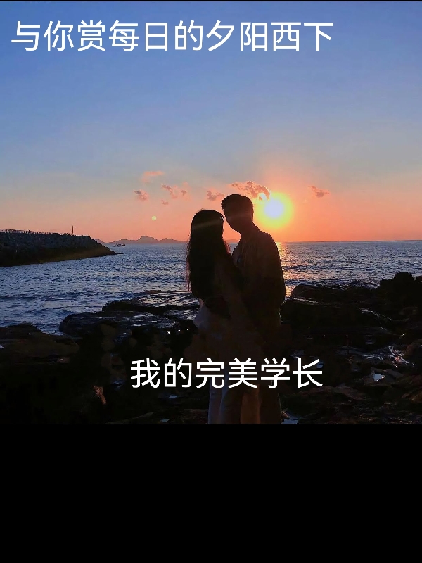 我的完美学长