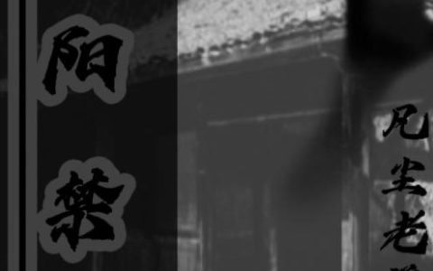 小天 小天护小说全文免费阅读，《阴阳禁地》最新章节