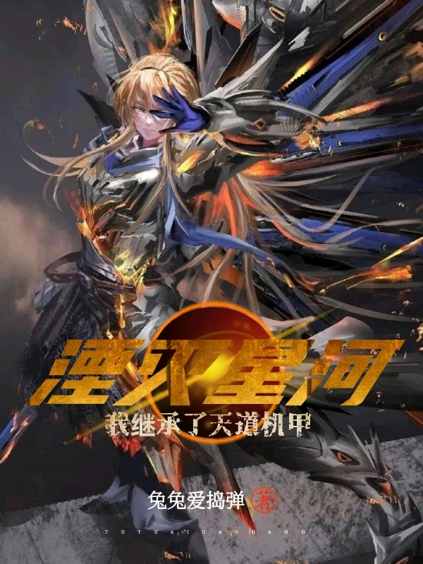 湮灭星河:我继承了天道机甲
