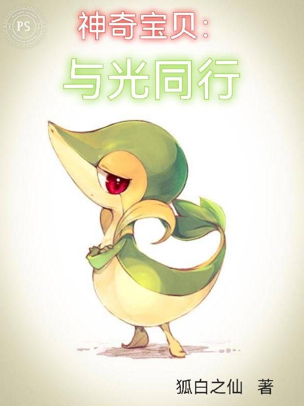 神奇宝贝:与光同行