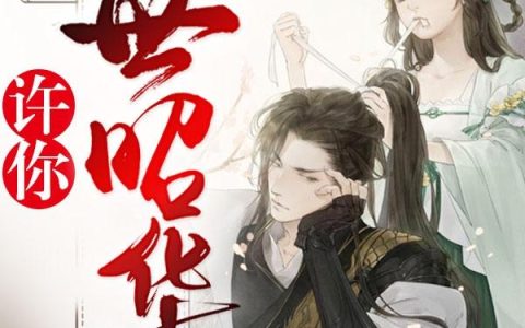林昭华 沈云麓小说全文免费阅读，《许你一世昭华》最新章节