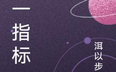小说《唯一指标》全文免费阅读