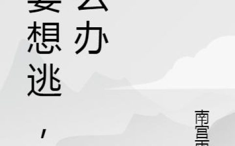 小说《娇妻想逃，怎么办》刘宵 江小姐完整版免费阅读