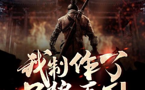 小说《我制作了只狼系列，把主播们逼疯》陆云 艾尔完整版免费阅读