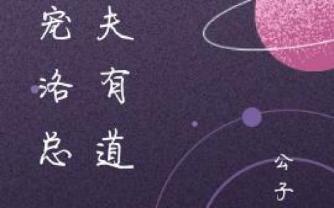 夜北宸 夜枫团宠洛总，驭夫有道小说免费阅读