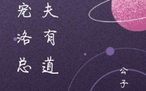 夜北宸,严飞团宠洛总，驭夫有道小说免费阅读