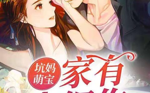 小说苏庭轩,轩轩《坑妈萌宝：家有小细作》在线全文免费阅读